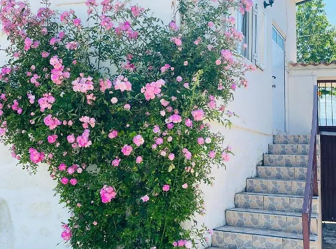 Quinta De Areias Crespos